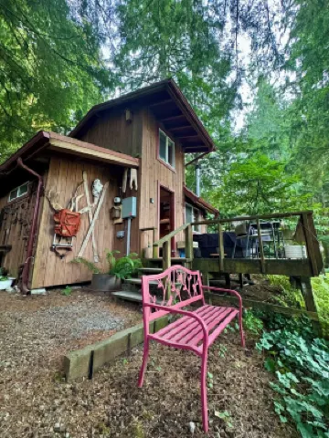 Cozy Tiny Cabin with RIVER VIEWS! Sleeps 3, hot tub, wood stove, fire pit!
