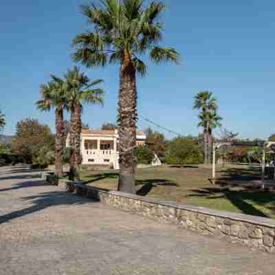 Leone Luxury Villa Giota Others