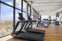 Hotel Indigo Jabal Akhdar Resort & Spa by IHG - 健身房
