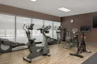 Hampton Inn & Suites Wilkes-Barre/Scranton - Gym