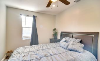 Remodeled Seminole Apt and Yard 3 Mi to Beach!