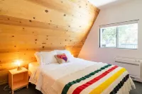 Dog Friendly A-Frame Hot Tub Nature Views Hotels in Idyllwild