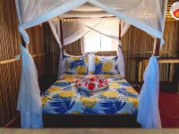 DJEMA forest Hotels in Diana