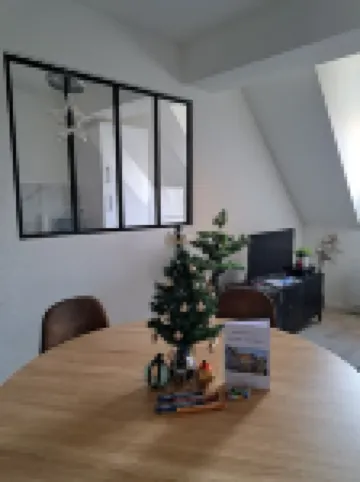 Apartment Historic Center Colmar with free private parking