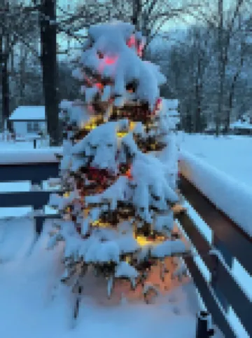 Perfect Place if You Need a Mid-Winter Getaway!