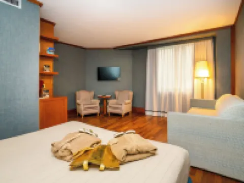 杜卡德斯特大酒店 蒂沃利酒店