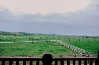 CF Ranch & Cattle Co.- Lodge and CrossFit Gym