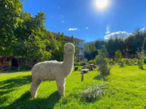 Runaway Eco Hotel Hotels in 