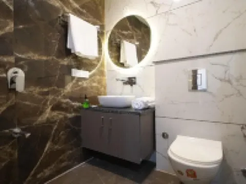 park amber Hotels in Hisar