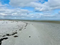 "Swale" - 500m from the Sea
