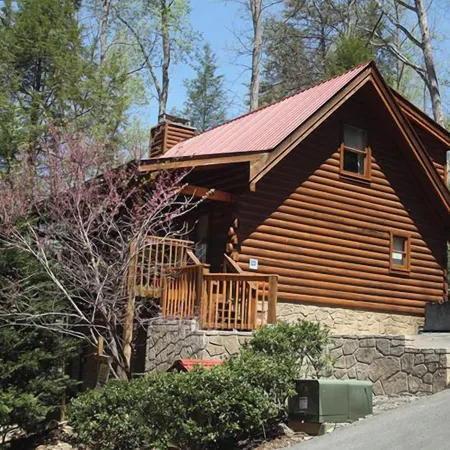 Bear's Den