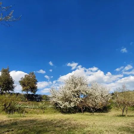 Country house in the heart of Basilicata