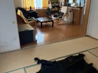 Shinshu Gibier Yakiniku No Yado Heike No Sato Hotels in Ina