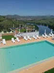 Delfim Douro Hotel - Kolam Renang