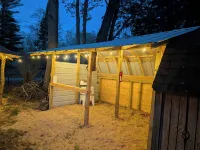 Bigfoot themed cottage.  Dog friendly!