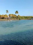 Serene 3-Bedroom Villa with Private Pool in Roches Noires - Villas