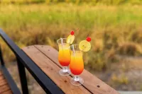 Chobe River Camp - bar