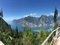 羅莎別墅飯店 - 山景