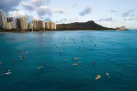 Ohia Waikiki Studio Suites - Kitchens