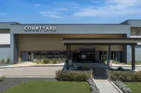 Courtyard Dallas DFW Airport North/Irving - Kolam Renang