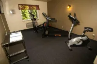 FairBridge Inn & Suites Kellogg - Gym