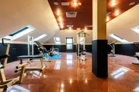 Hotel Excelsior Magenta - Gym