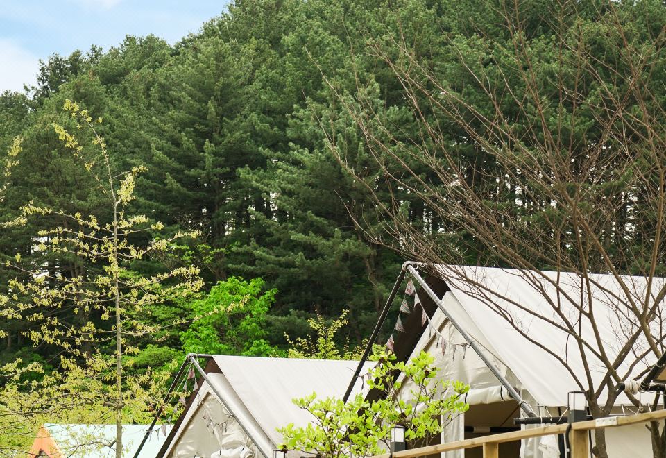 가평 세라핌 글램핑 썸네일