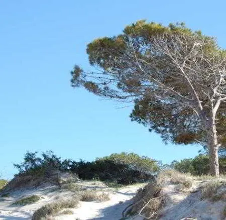 Gardenia Casa Vacanze