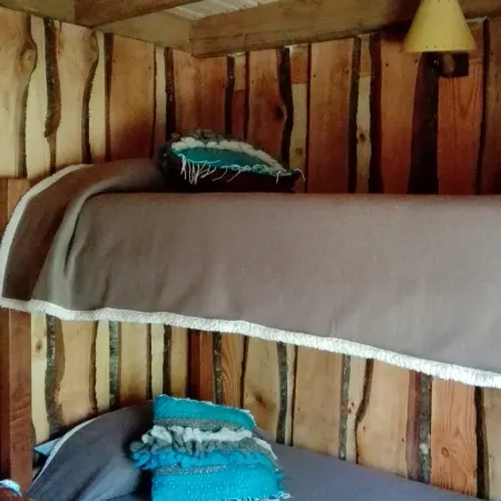 Wonderful Rustic Cabin, with Native Trees, with Rio Trancura, Equipped