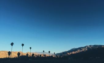 Dive Palm Springs