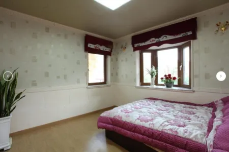 Jincheon Gondalbi Pension Отели в г. Чинчхон