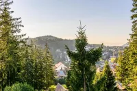 Pensiunea Hilltop - Mountain view