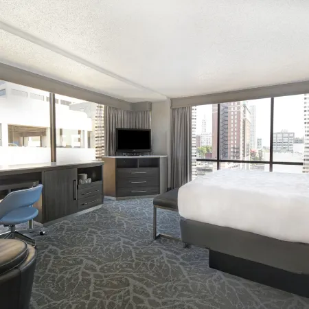 Holiday Inn Memphis-Downtown (Beale ST.)