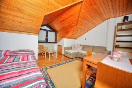 Apartment Viki Отели в г. Jesenice