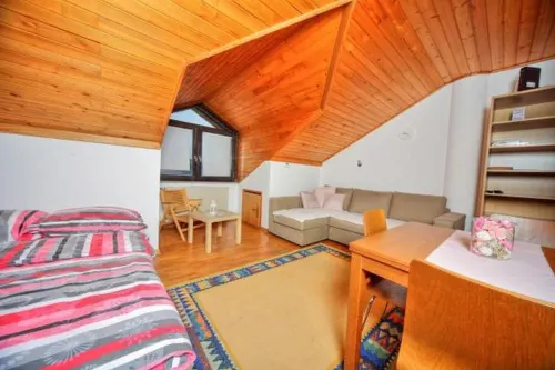 Apartment Viki