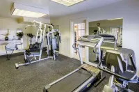 Quality Inn Tanglewood - Gym