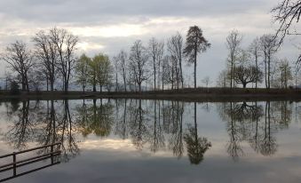 2 Zimmer Mit Balkon, Zentrale Ruhige Lage