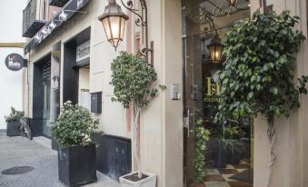Hotel Duquesa - Housity