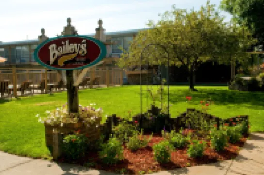 諾福克鄉村套房酒店 羅福酒店