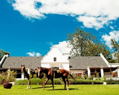 The Manor at Ngorongoro 카라투 호텔