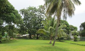 Paradise Inn