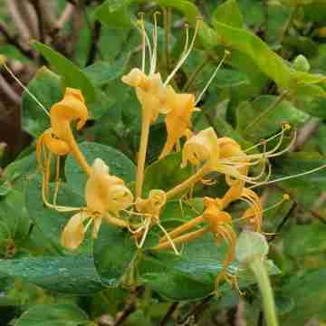 山海廣場精裝民宿（平安西街分店） Others