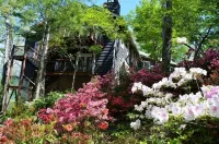 The Lodge on Lake Lure Hotels in Lake Lure
