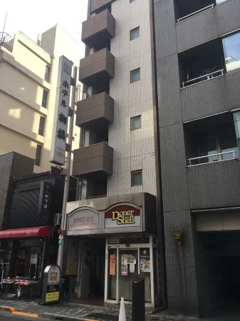 Hotel Yanagibashi