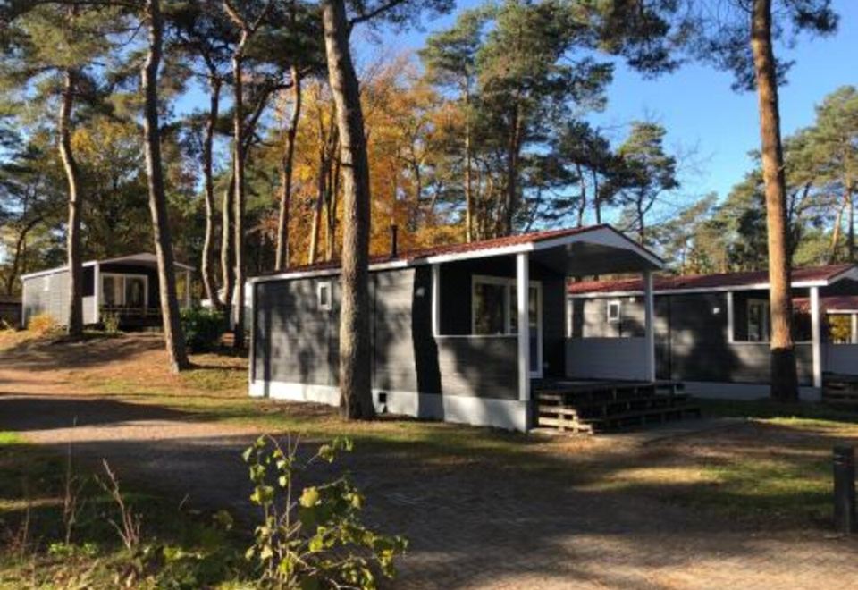 vergeven pad kwaad Vakantiepark de Reebok-Oisterwijk Updated 2023 Room Price-Reviews & Deals |  Trip.com