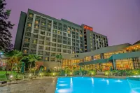 Sao Paulo Airport Marriott Hotel - Pools
