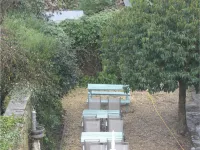 Montacute Country Tearoooms Hotels in Norton Sub Hamdon