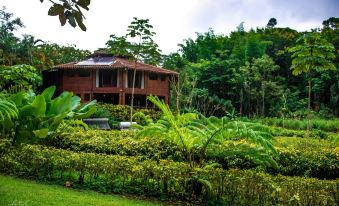 a large wooden house surrounded by lush greenery , including trees and bushes , in a tropical setting at Macaw Lodge