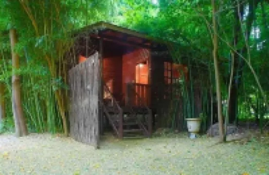 Ducks Country House Hotels in 