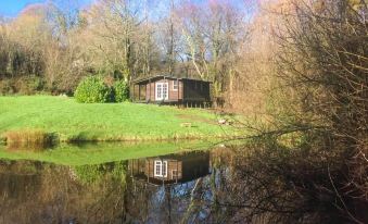 Lakeside Cabin